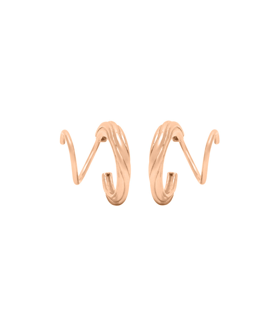 Earrings - carved twister