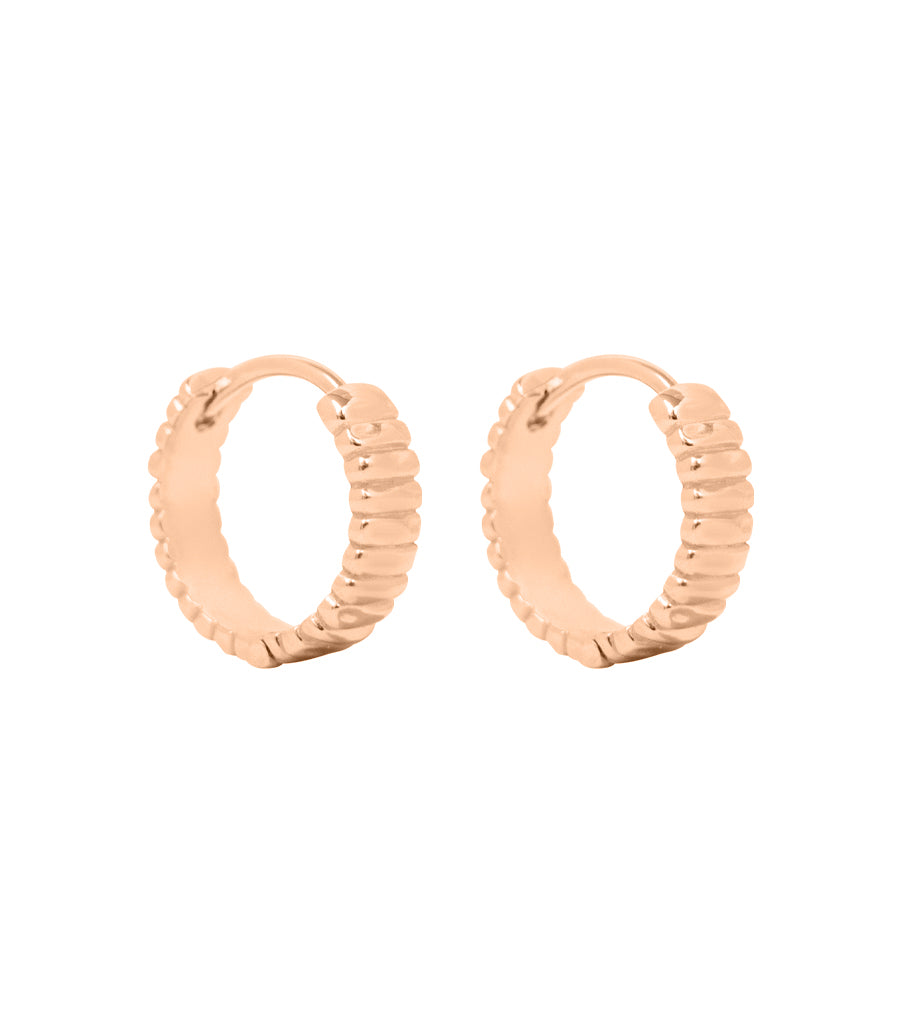 Earrings - striking stripes
