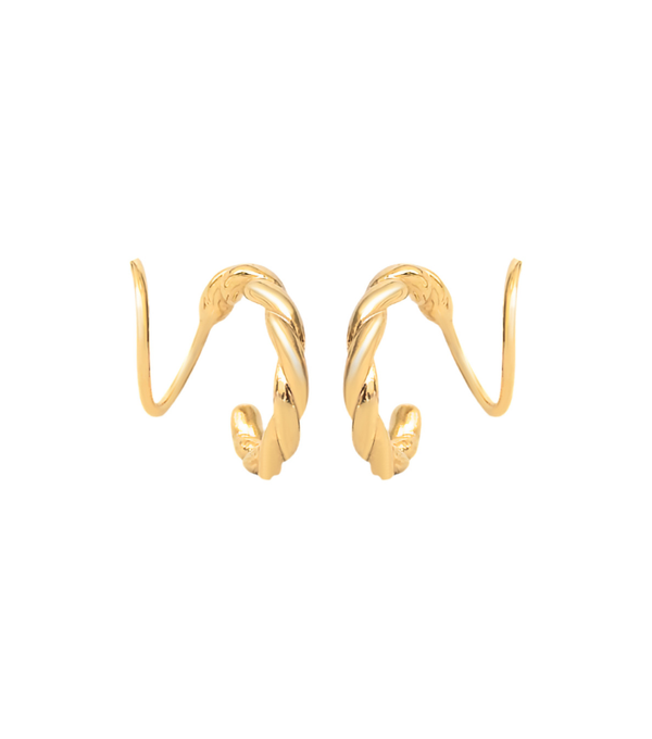 Earrings - carved twister