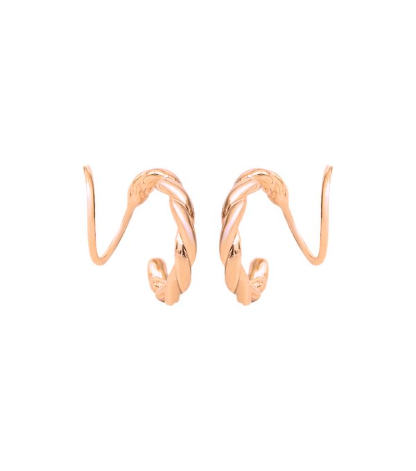 Earrings - carved twister