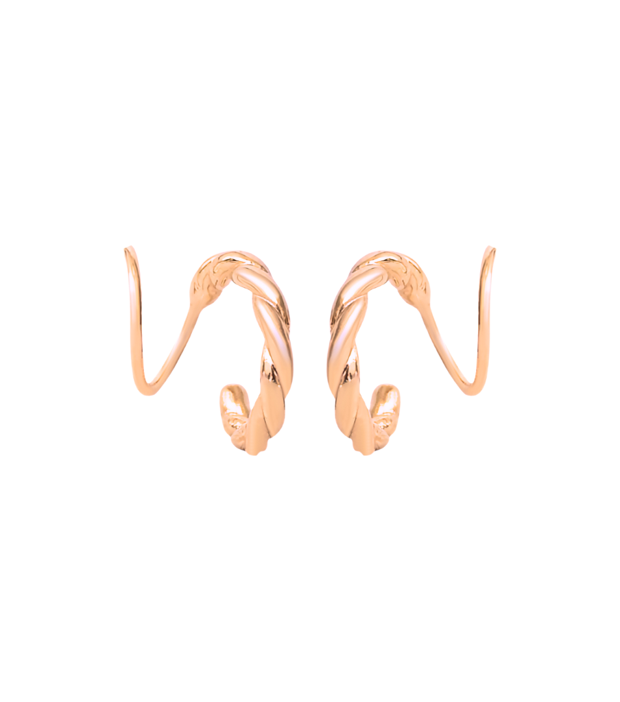 Earrings - carved twister