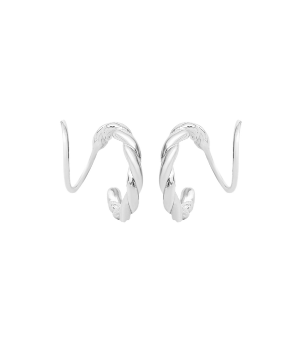 Earrings - carved twister