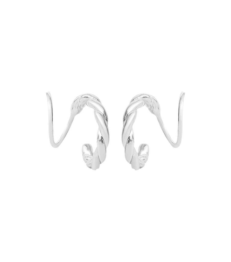 Earrings - carved twister