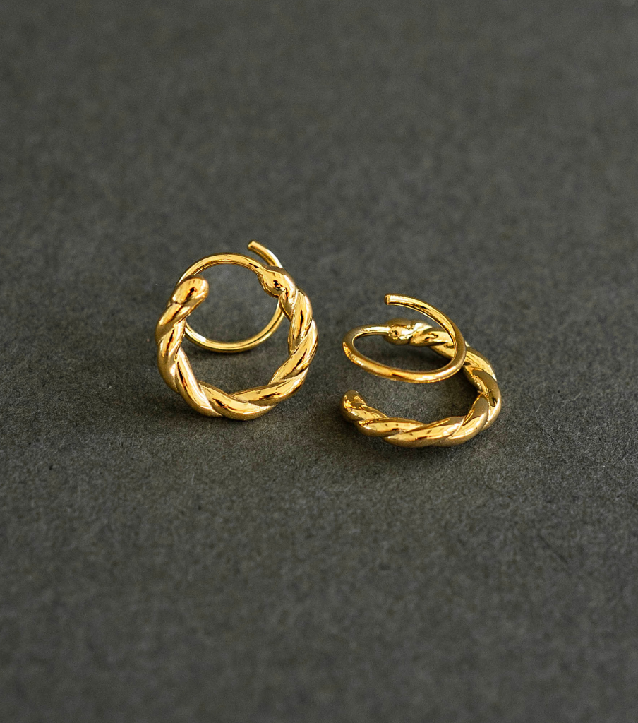 Earrings - carved twister