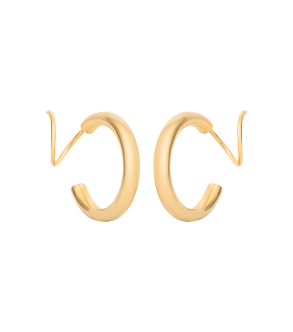 Earrings - carved twister
