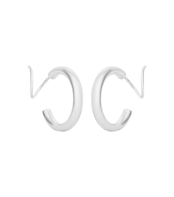 Earrings - carved twister