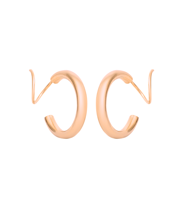 Earrings - carved twister