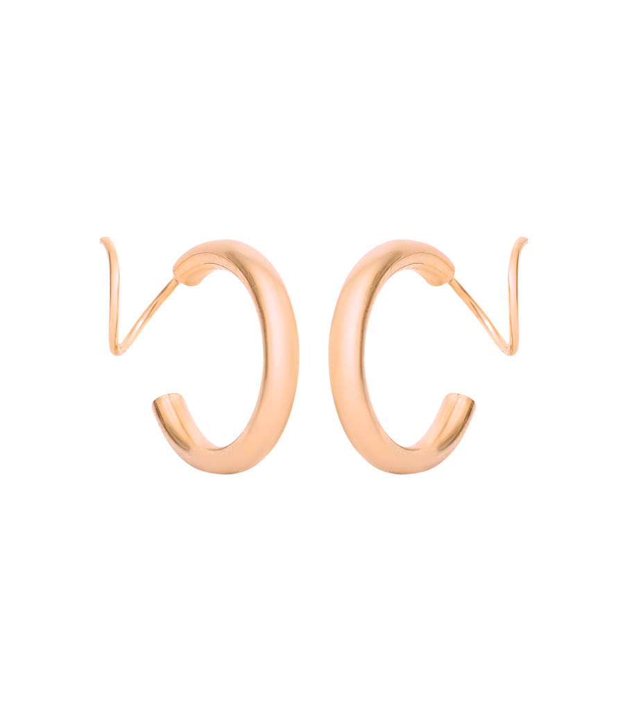 Earrings - carved twister